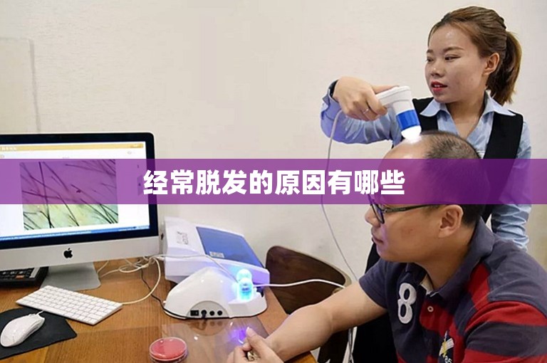 经常脱发的原因有哪些