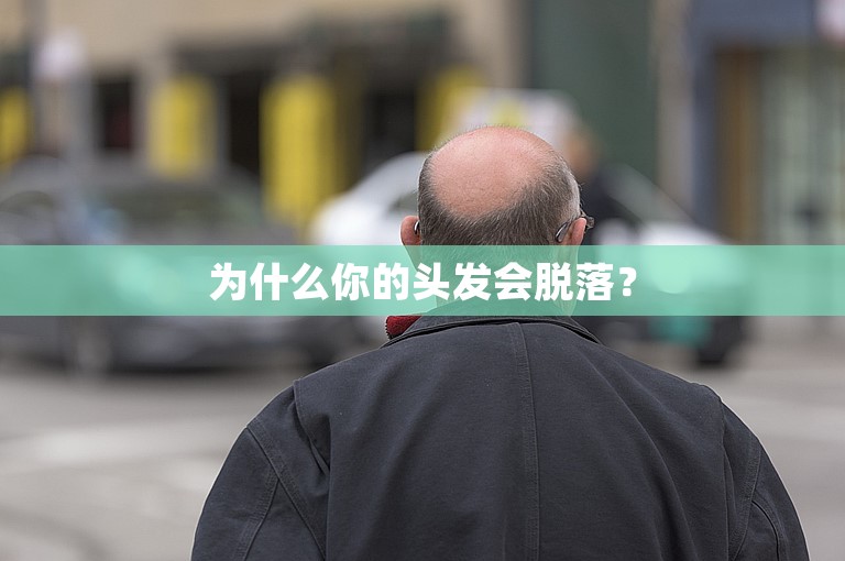 为什么你的头发会脱落？