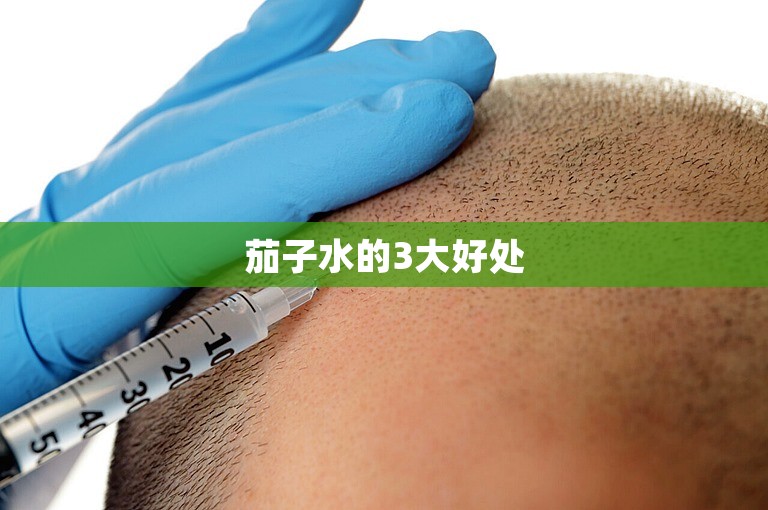 茄子水的3大好处