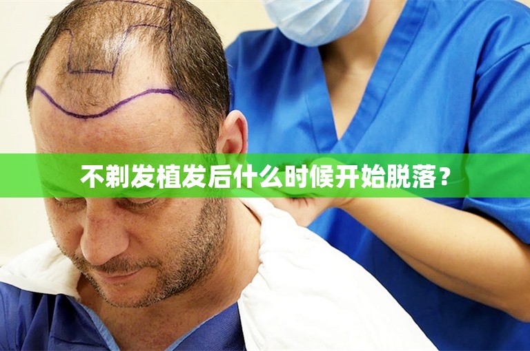 不剃发植发后什么时候开始脱落？