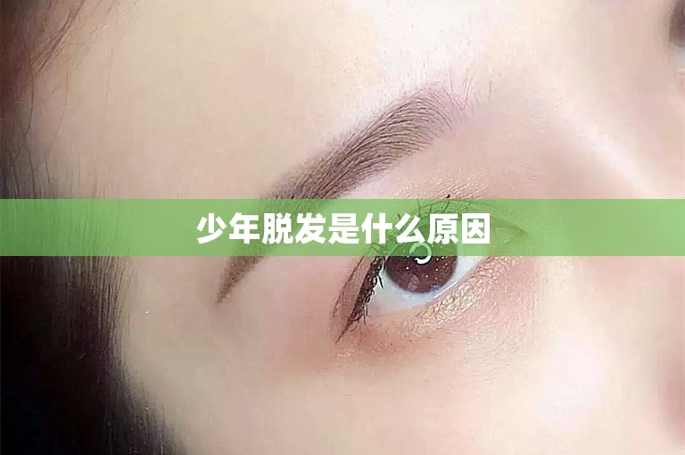 少年脱发是什么原因