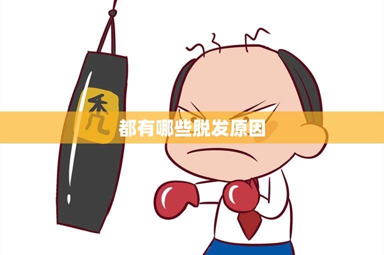 都有哪些脱发原因