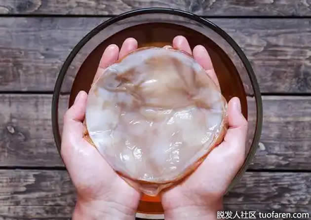 如何制作康普茶及其好处
