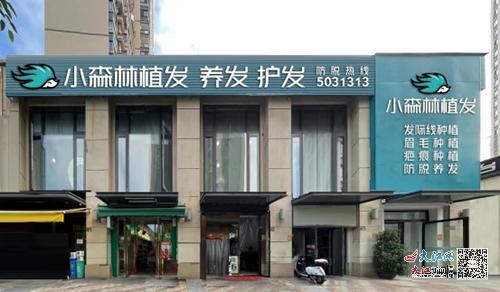 小森林专科植发元旦礼遇享植发巨惠